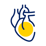 EL_icon_0724_42Cardiac CT