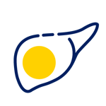 EL_icon_0724_48 Liver