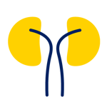 EL_icon_0724_51Urology-1