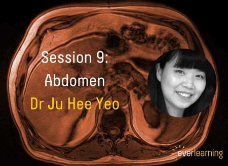 EVERLEARNING Juhee LP Website image and text grid picture size 450x329px