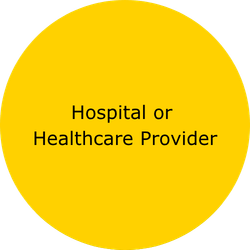Hospital or Healthcare provider