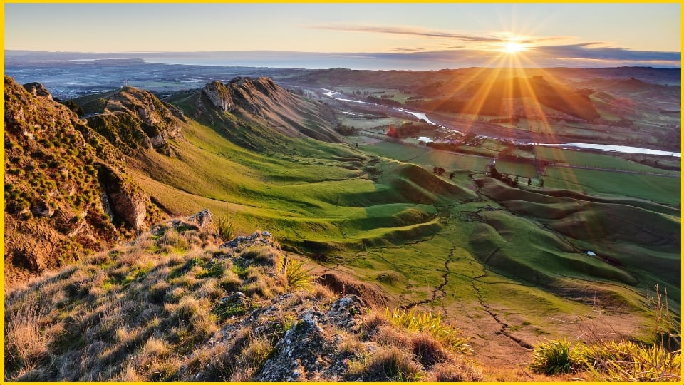 GM NZ Image