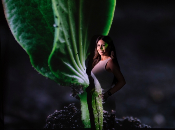 More growth 600x447 More growth 600x447