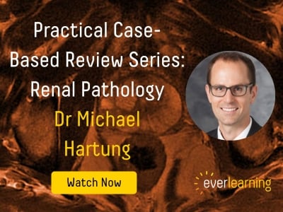 Practical Case-Based Review Series Renal Pathology (4)